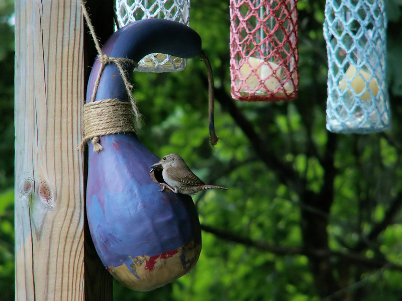 Upgrade Your Cleanup Routine with Rubbish Removal Bags in Place of Skips
